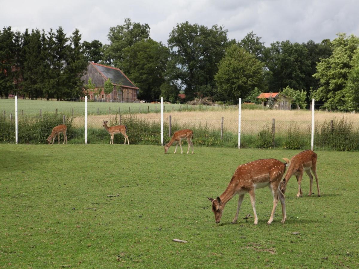 Gaeste Und Ferienhof Maas Dülmen Exterior foto